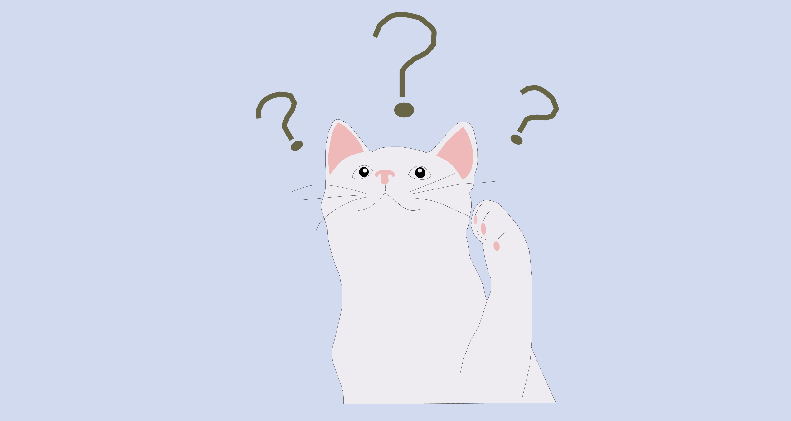 a-curious-cat-with-lots-of-questions